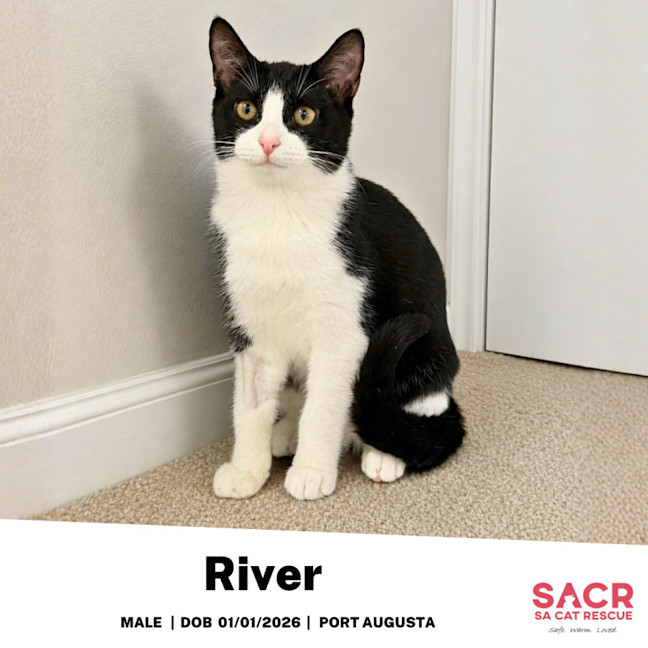 Photo of River