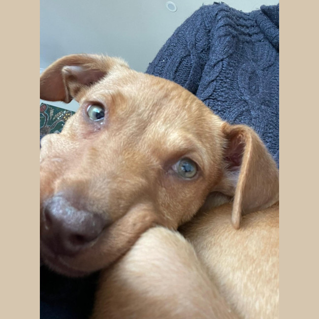 Photo of Murphy