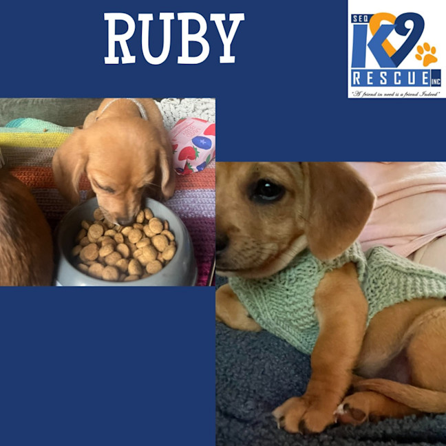 Photo of Ruby