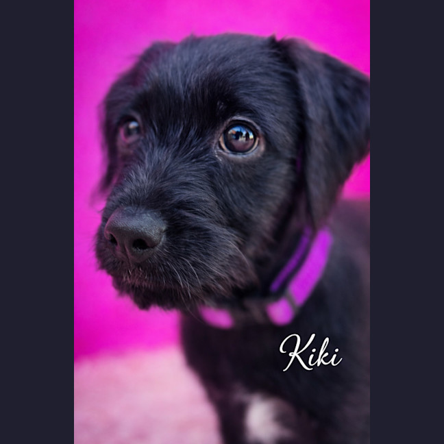 Photo of Kiki