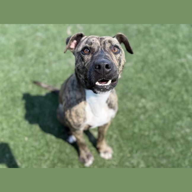 Photo of Ben Imp 280