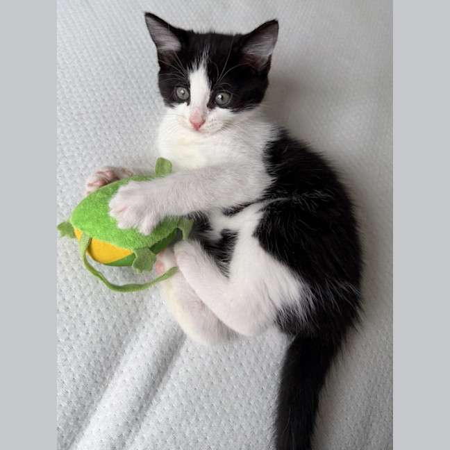 Photo of Tekapo 💙