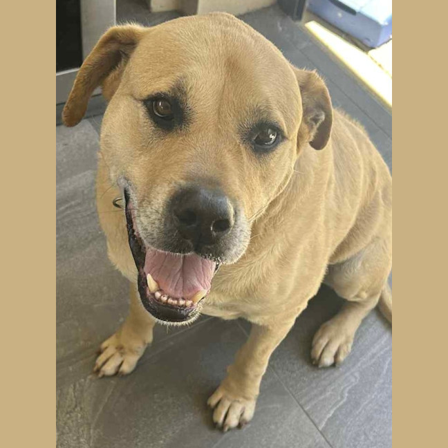 Photo of Cognac And Teddy