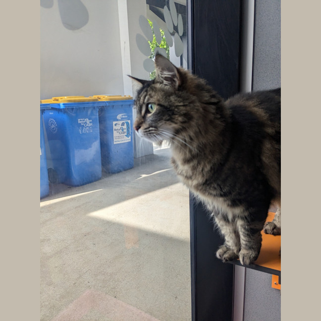 Photo of Zoe