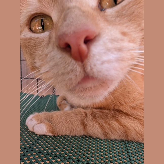 Photo of Bertie And Ocean