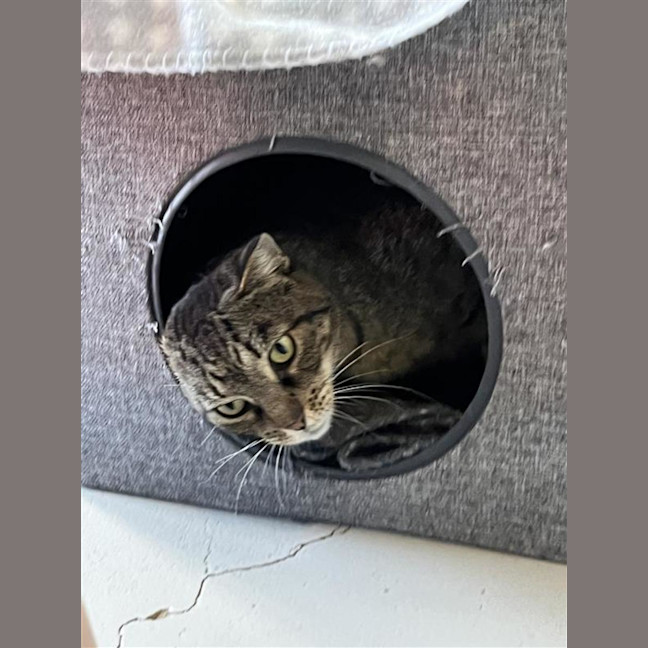 Photo of Tabitha