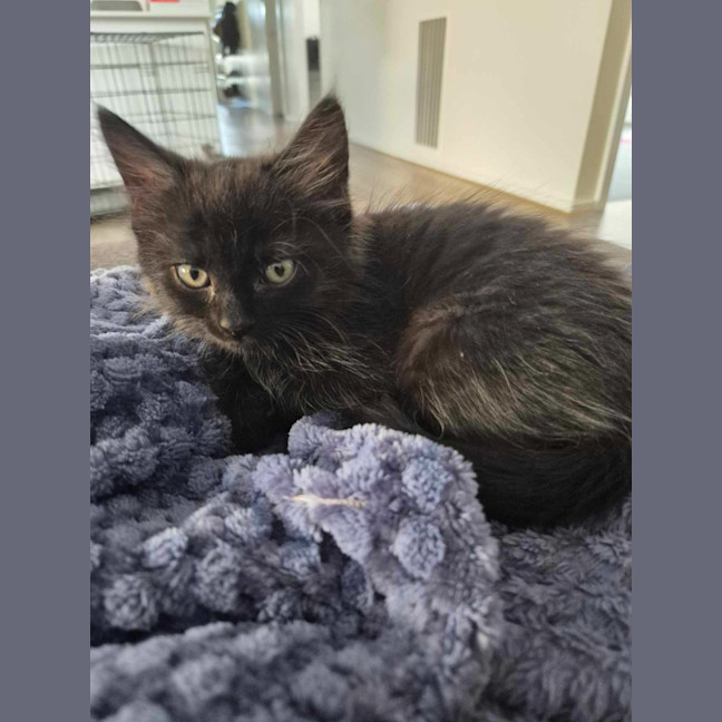 Photo of Spooky