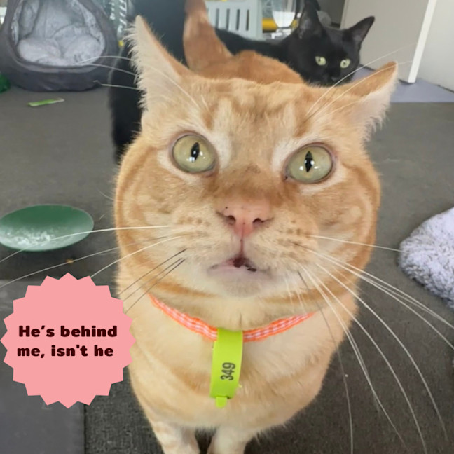 Photo of 🔥Slick Rick🔥