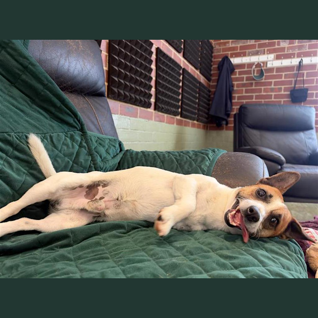 Photo of Hopper