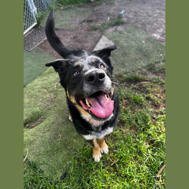 Photo of Leroy Jenkins