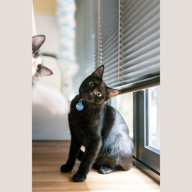Photo of Percy