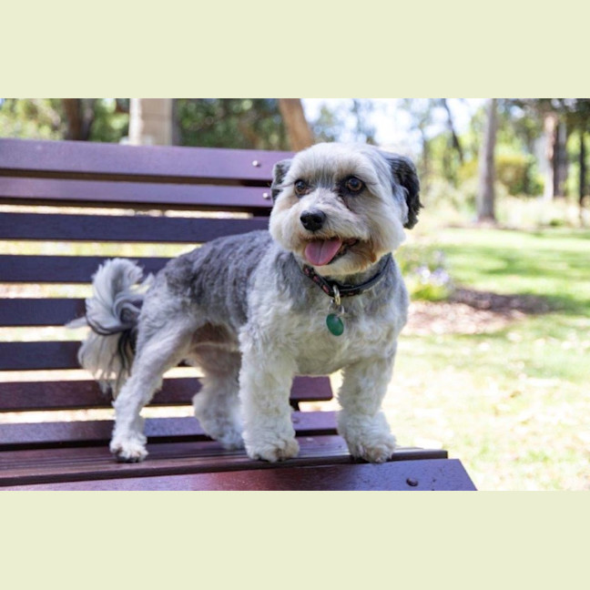 Photo of Lulu Lozano