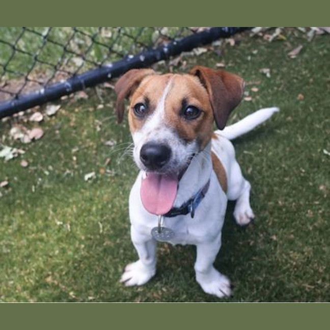 Photo of Bosley