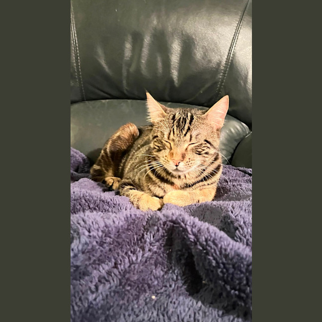 Photo of Tilly 