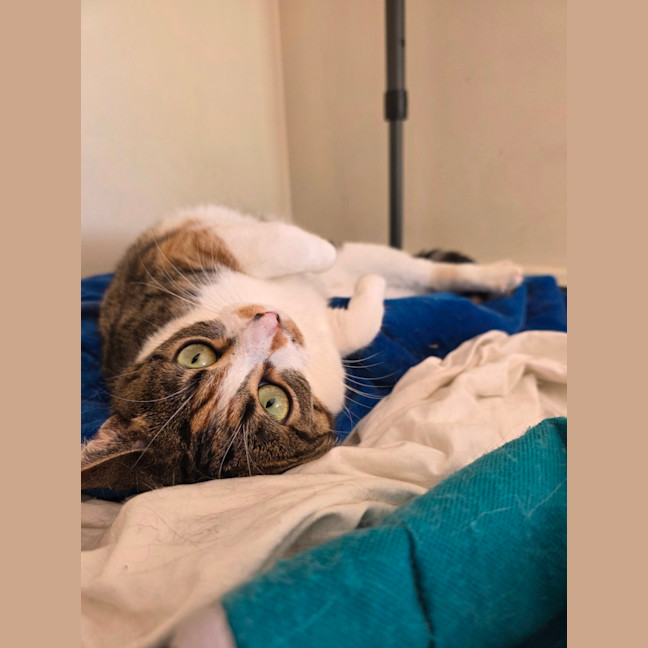 Photo of Mathilda