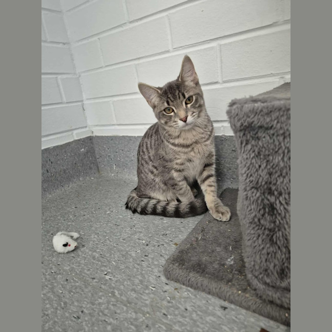 Photo of Autumn! 🍁