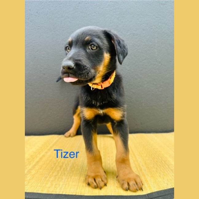 Photo of Uk Beverages Litter