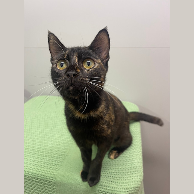 Photo of Dolly Parton