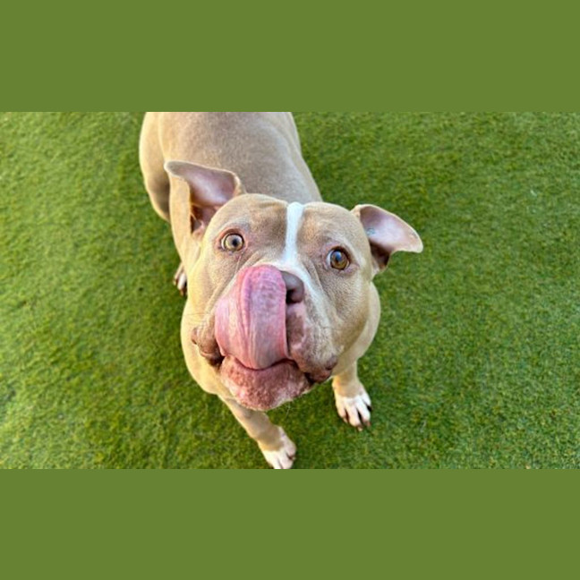 Photo of Winnie