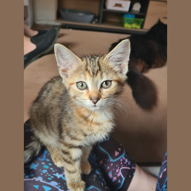 Photo of Aria