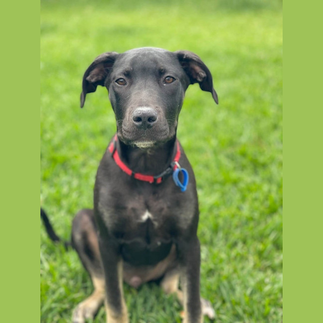 Photo of Zeus