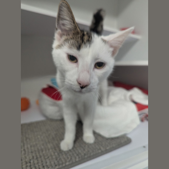 Photo of Kiki