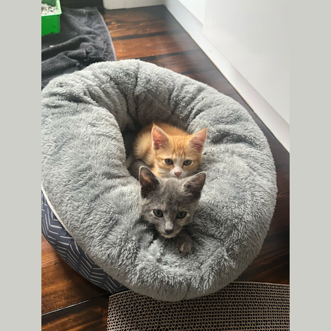 Photo of Casco & Ozzie