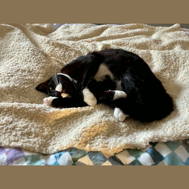 Photo of Buster