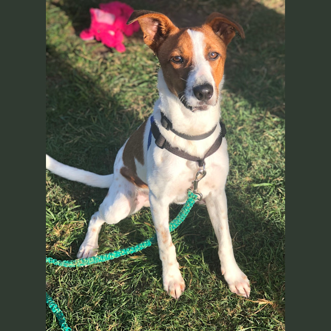 Photo of Little Wally