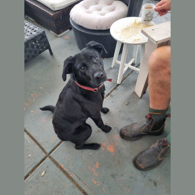 Photo of Rosie Lozano