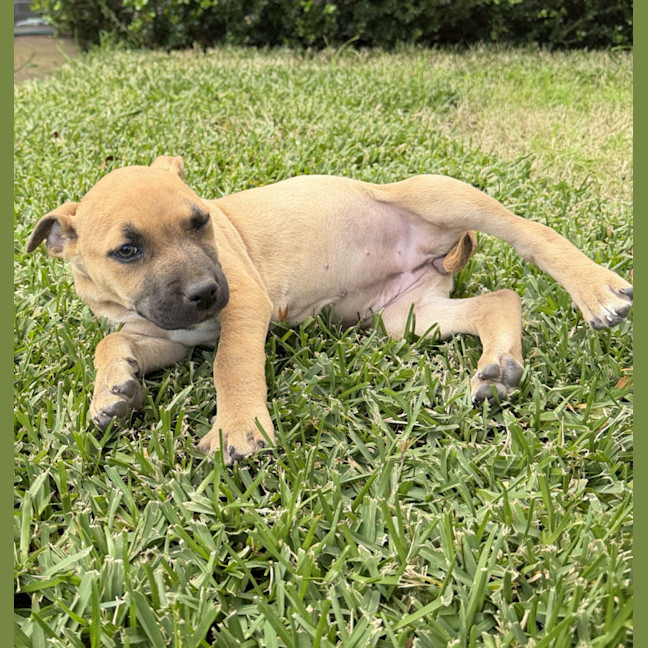 Photo of Lucy