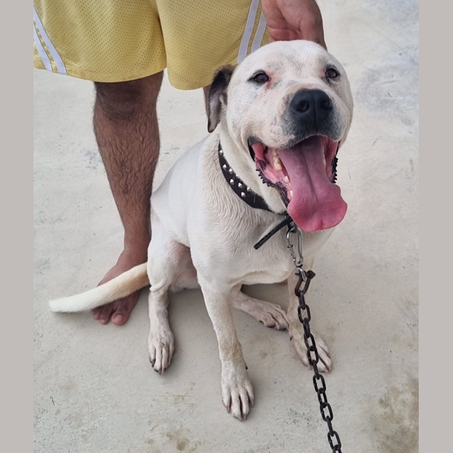 Photo of Zeus 