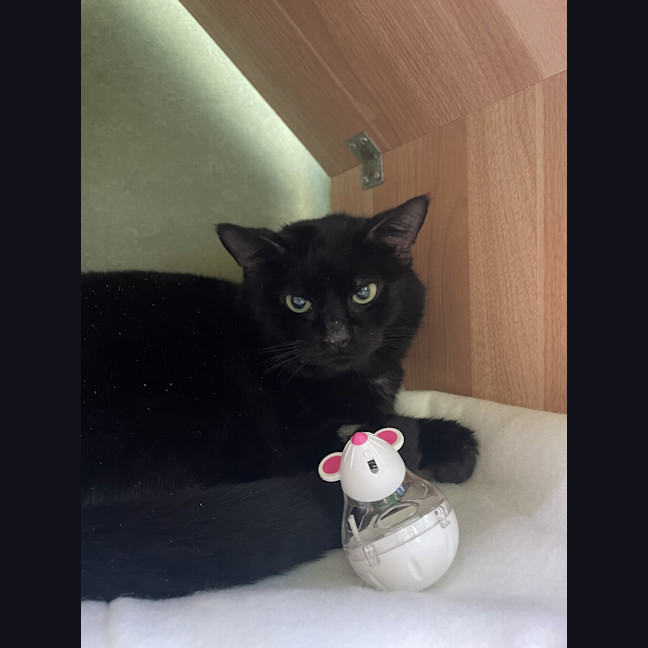 Photo of Storm