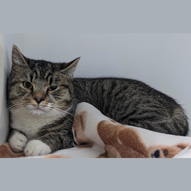 Photo of Moomoo