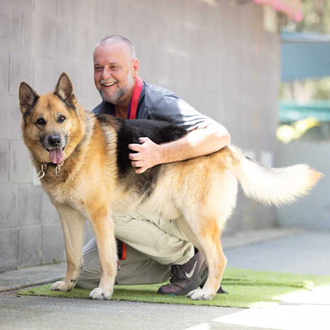 Photo of Kobe