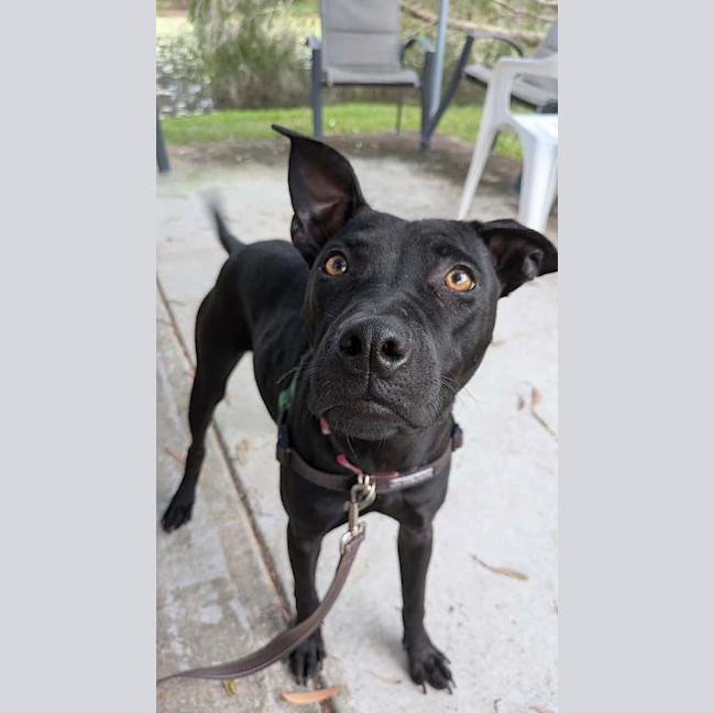 Photo of Pheobe
