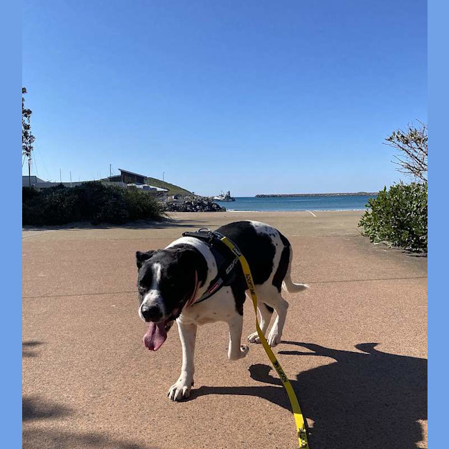 Photo of Lacey