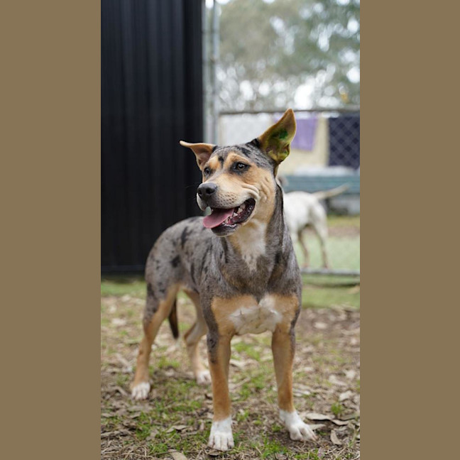 Photo of Matilda