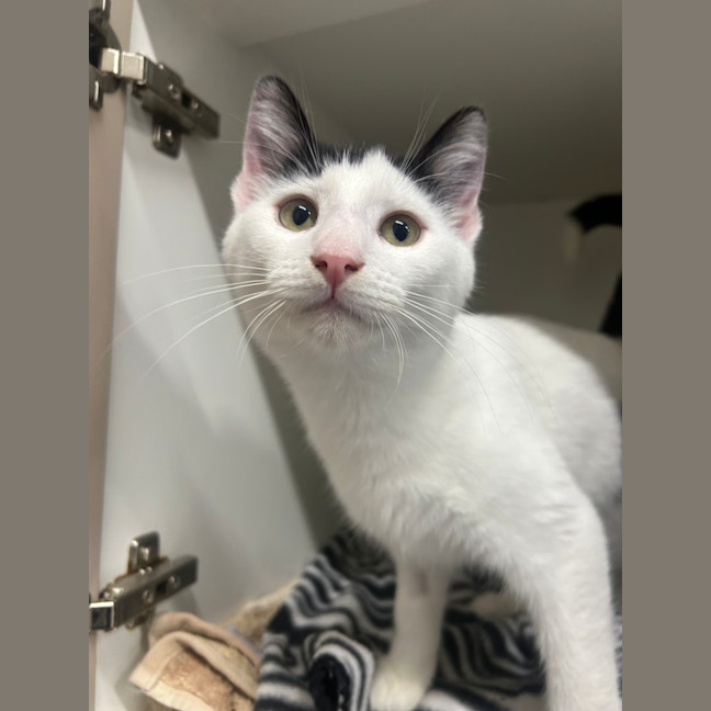 Photo of Wednesday