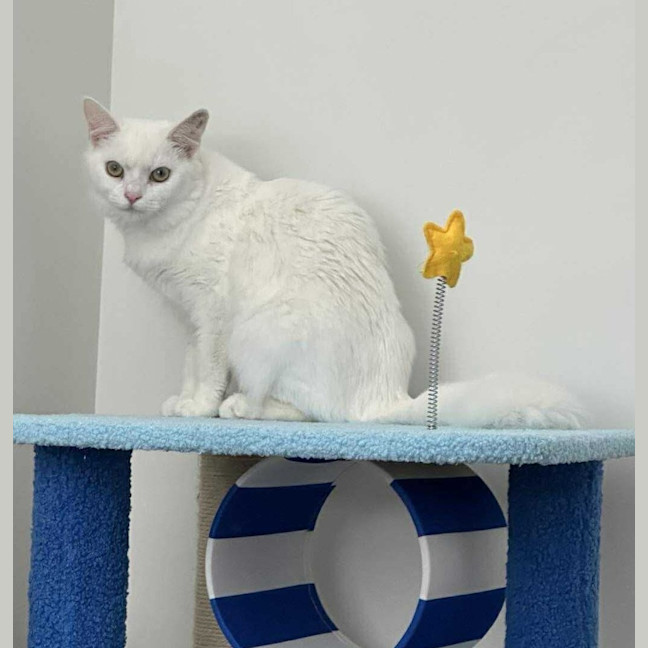 Photo of Yuki