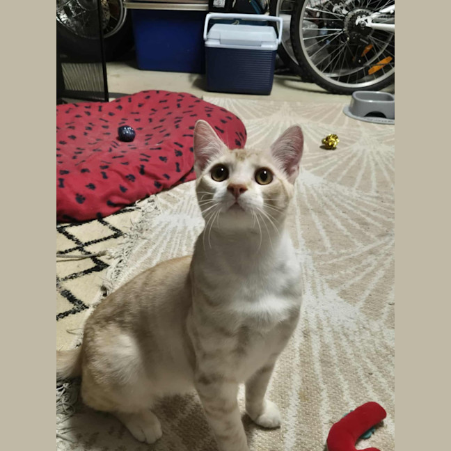 Photo of Lucky And Blue