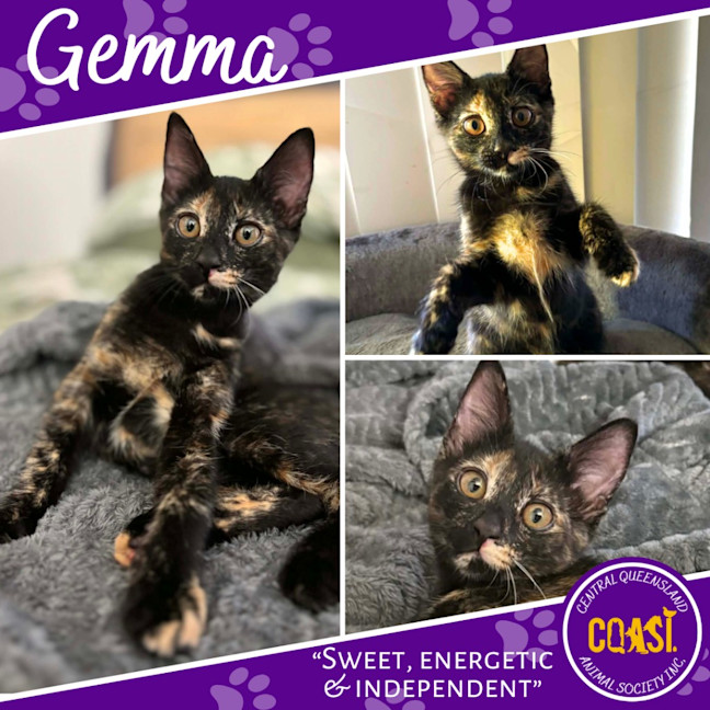 Photo of Gemma