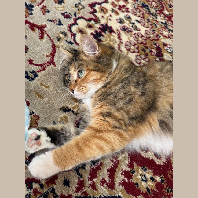 Photo of Ivy