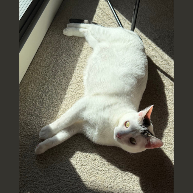 Photo of Agatha