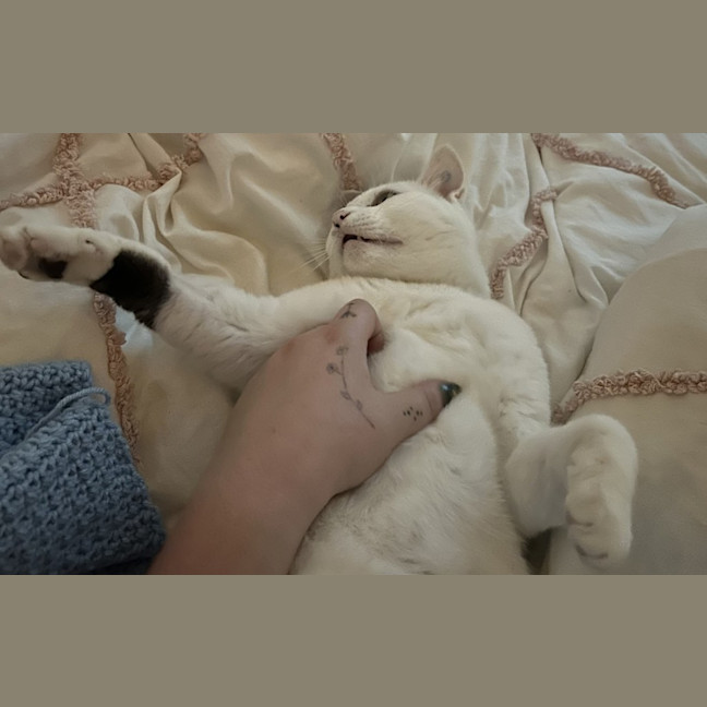 Photo of Squish