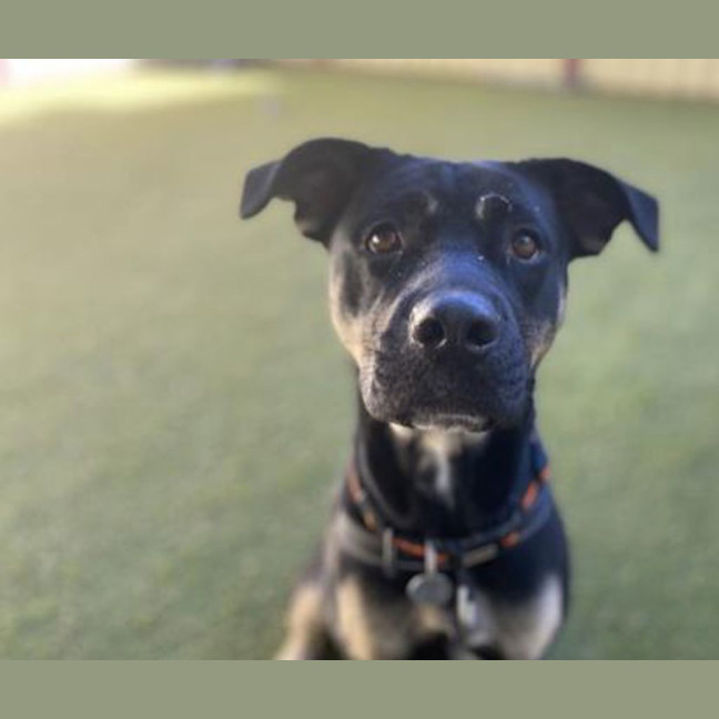Photo of Sally