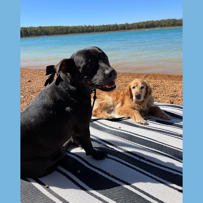 Photo of Daisy And Tonka