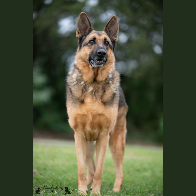 Photo of Ghost