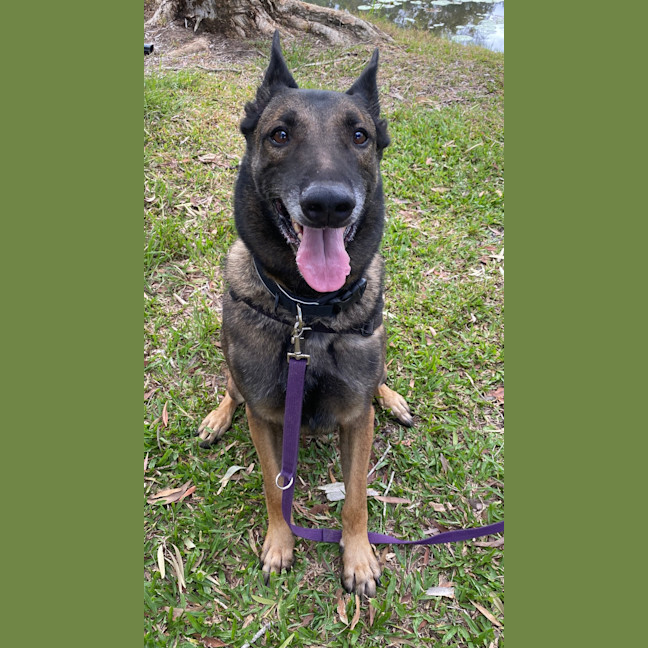 Photo of Buddy