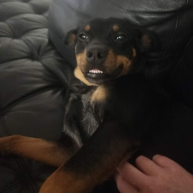 Photo of Bobby